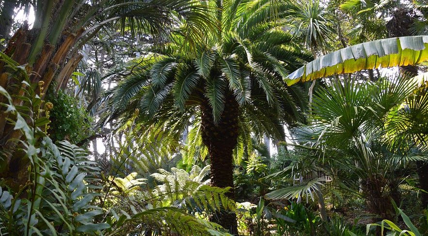 Georges Delaselle Garden, Île de Batz, France